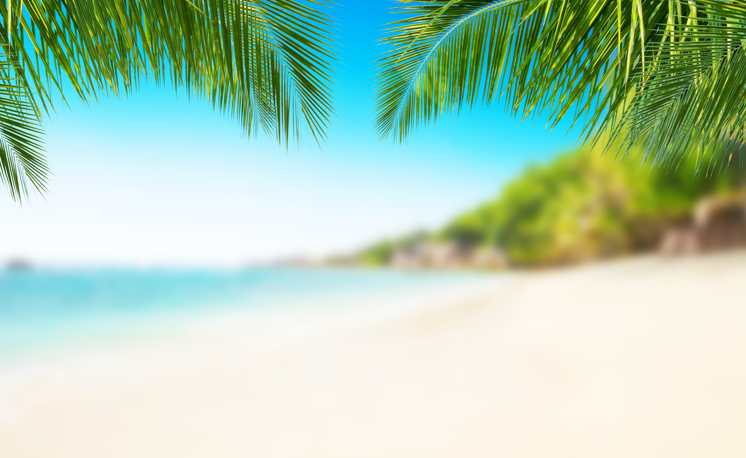 Tropical beach with sand, summer holiday background.